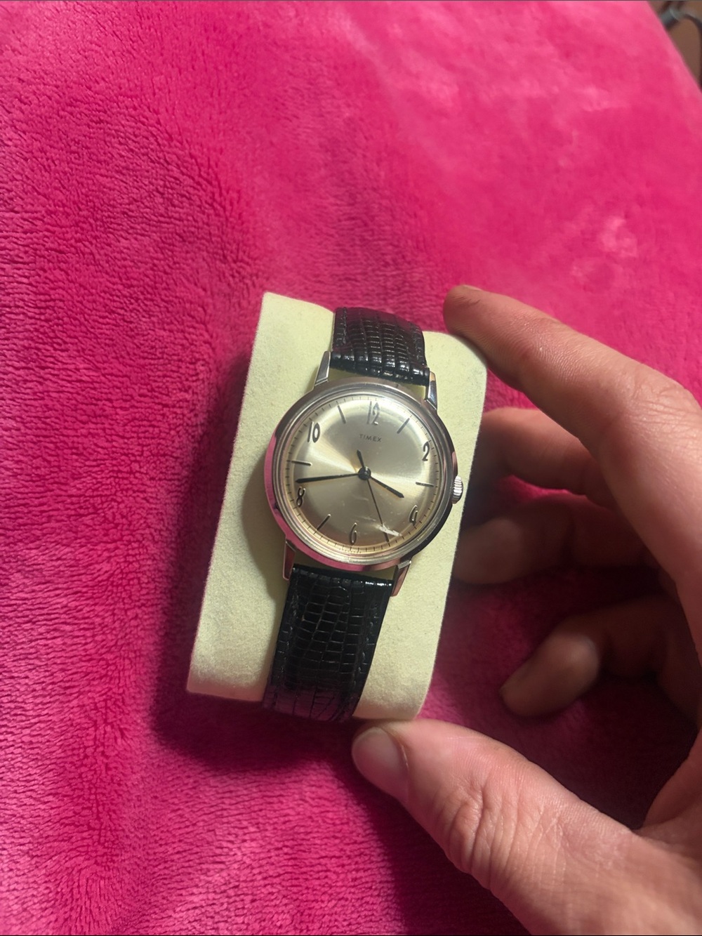 Timex marlin 1965 reissue champagne Dial wind-up Watch with Black Leather Strap
